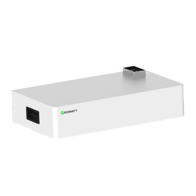 GROWATT AXE 5.0L - Imagen 2
